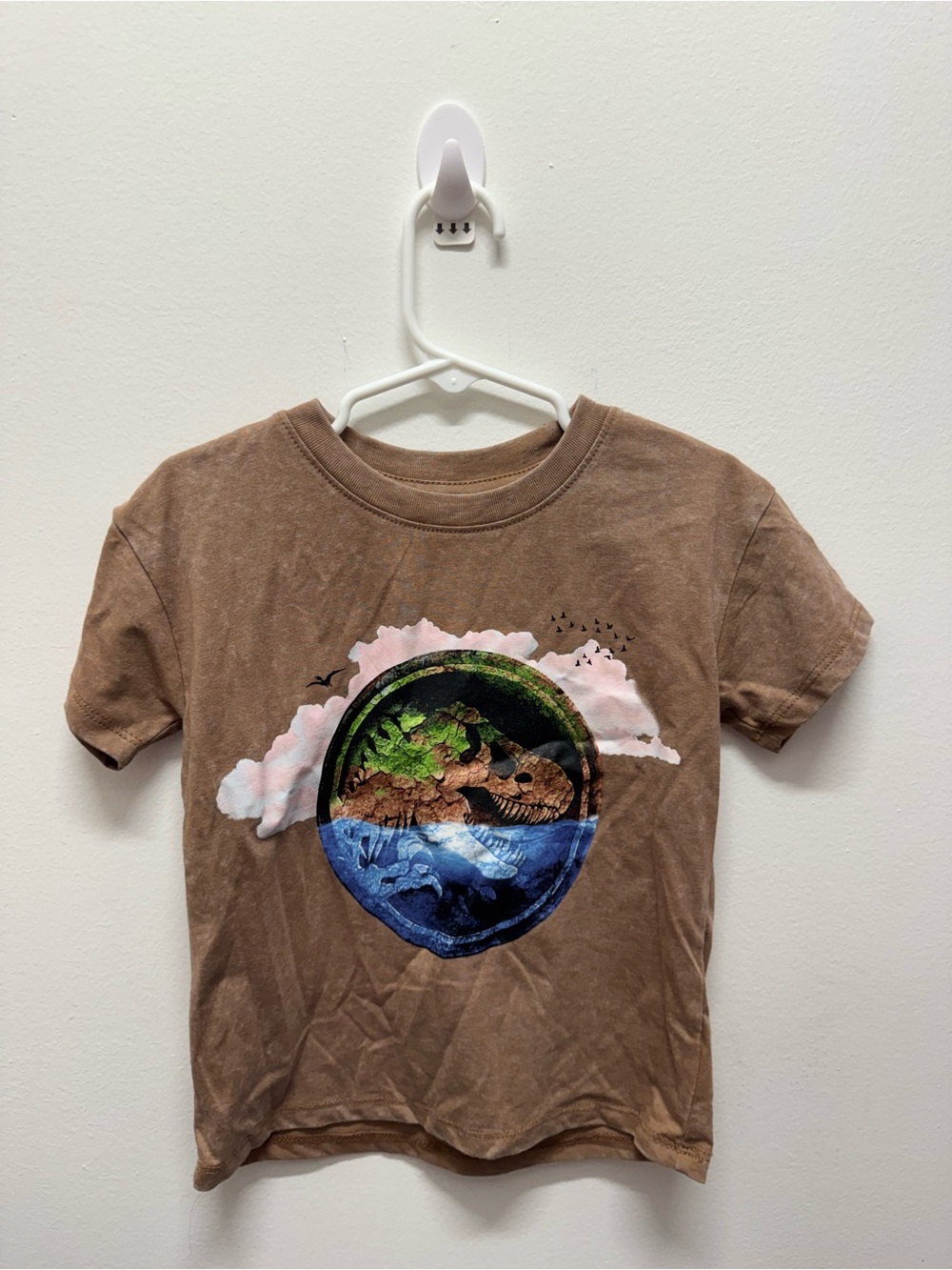 Kids Brown Graphic T-Shirt with Dinosaur Landscape